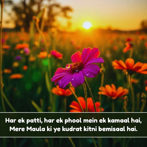 Love Nature Shayari in English 2 Line